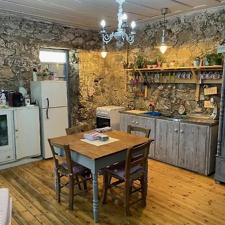 Holiday House