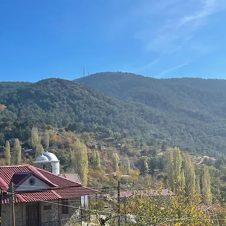 Holiday House